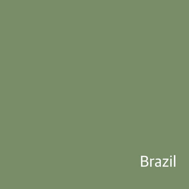 [New Crop / 소분] 브라질 몬테 카르멜로 내추럴 : 스페셜티 블렌더