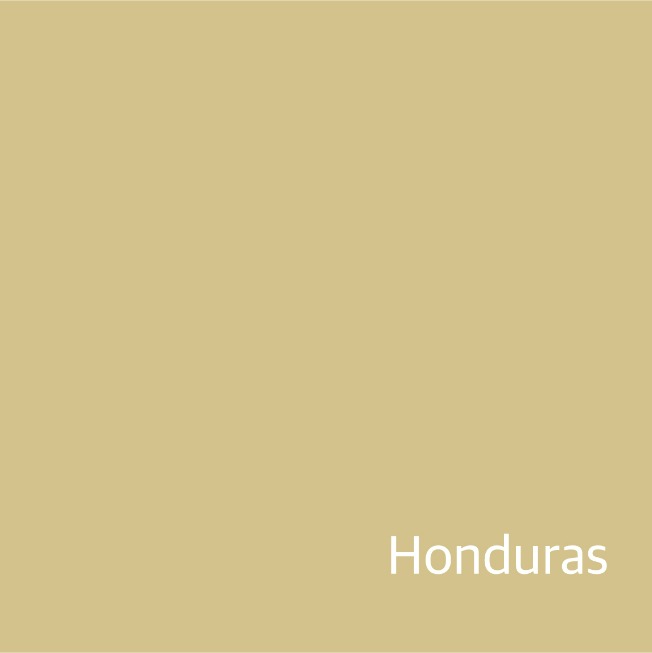 [New Crop / 생두] 온두라스  라 벤디시온 파라이네마