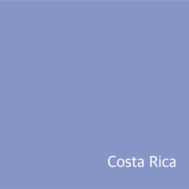 [New Crop / 생두] 코스타리카  산타 테레사 2000