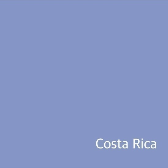 [New Crop / 소분] 코스타리카  세로 알토 라 로사