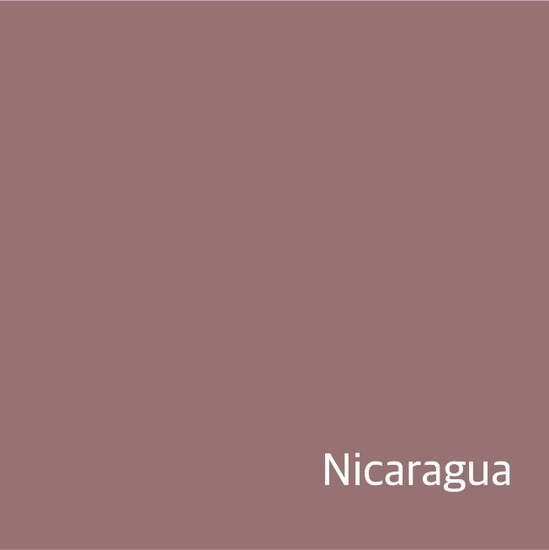 [New Crop / 소분] 니카라과  라 에스페란사 라지 부르봉