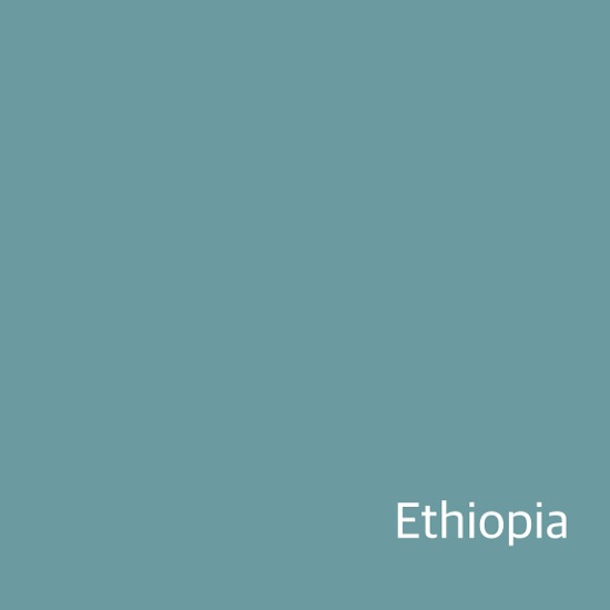[New Crop / 생두] 에티오피아  시다모 벤사 로야 2023