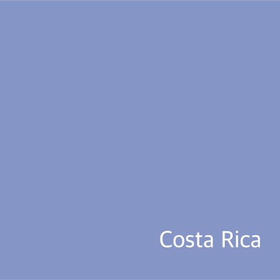 [New Crop / 생두] 코스타리카  산타 로사 1900 핀카 마초 더블 풀리 워시드