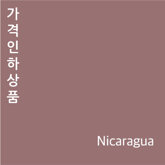 [New Crop / 소분] 니카라과 아구아 사르카 엘 토리토 무산소 내추럴