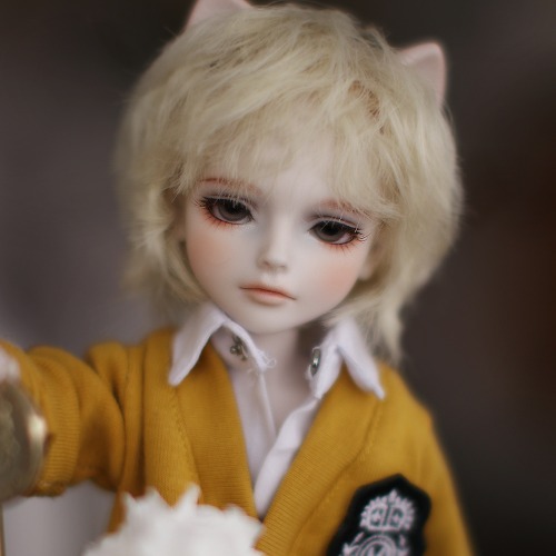 BJDCROBI]bjd, doll, balljointeddoll, crobi