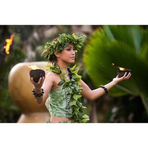 Kauai, Hawaii, USA: VIP Island Dinner and Luau Kalamaku Show