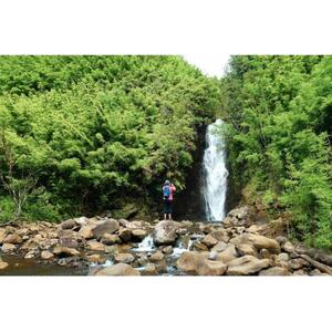 美国夏威夷毛伊岛：带野餐午餐的瀑布和雨林徒步旅行