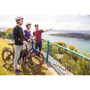 웰링턴: 전기 자전거로 가이드 관광 투어