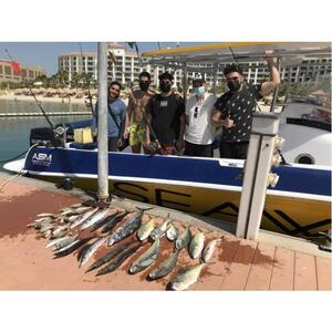 アラブ首長国連邦ドバイ：共有とプライベートオプションを含む半日釣り旅行