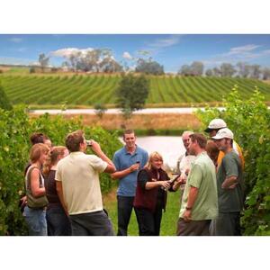 澳大利亚墨尔本：全天亚拉河谷葡萄酒体验与午餐 [GG_t60158]