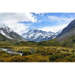 New Zealand Mount Cook &amp; Tecapo Lake Daily Tour (from Christchurch) [GG_t179834]