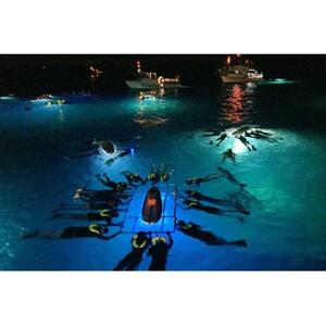 Big Island, Hawaii, USA: Night Manta Ray Snorkeling Experience