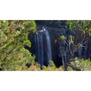 Hinterland National Park and Falls Tour, Byron Bay, Australia [GG_t68047]