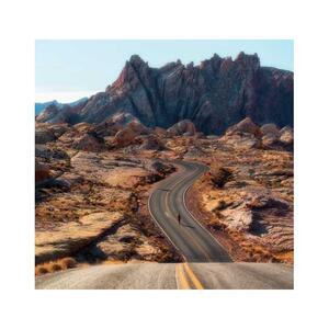 Las Vegas, USA: Valley of Fire State Park Tour [GG_t412574]