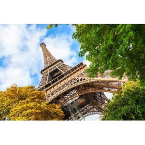 프랑스 파리: 에펠탑 우선 입장 및 세느강 크루즈[GG_t413009]