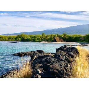 미국 하와이 빅아일랜드: 국립공원, 커피, 클라우드 포레스트, 양조장