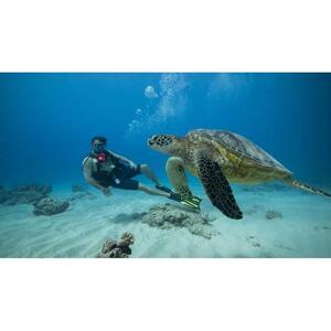 미국 하와이 오아후 와이키키: 초보자를 위한 오아후 디스커버리 스쿠버 다이빙