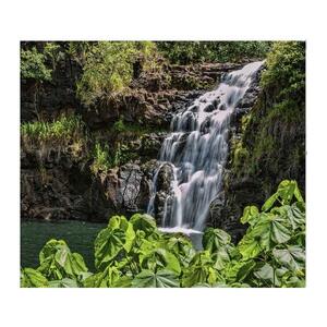 미국 하와이 오아후의 숨겨진 보석과 와이메아 식물원/폭포 투어 [GG_t405277]