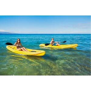 Maui, Hawaii, USA: Premium Turtle Village Kayaking and Snorkeling Tour