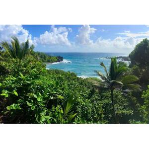 Maui, Hawaii, USA: Full Day Road to Hana Sightseeing Tour
