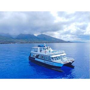 Lahaina, Hawaii, USA: Maui Channel Whale Watching Catamaran Cruise