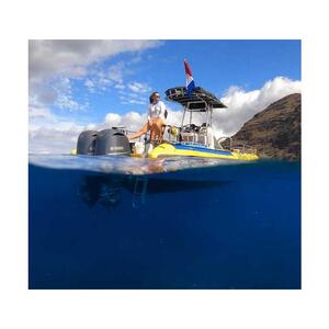 Oahu, Hawaii, USA: 3-Hour Dolphin Watching and Snorkeling Trip in Waianae