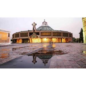 멕시코 시티: 과달루페 성모 성당 투어