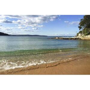 호주 시드니: 북부 해변 및 쿠링가이 국립공원 투어 [GG_t108886]