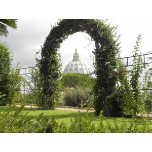 로마: 개인 바티칸 박물관 및 정원 오픈 탑 버스 투어