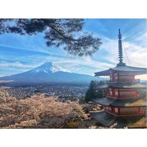 日本東京から:富士山と川口湖への個人旅行 [GG_t427763]