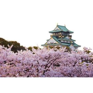 日本大阪:週刊桜とグルメツアー [GG_t215541]