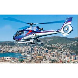 웰링턴: 경치 좋은 항구 헬리콥터 비행