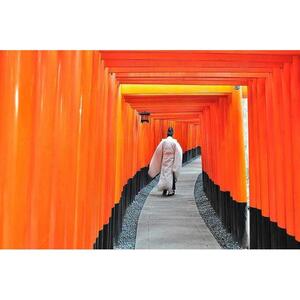일본 교토: 최고의 하이라이트 하루 종일 여행 [GG_t293665]