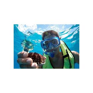 Oahu, Hawaii, USA: Hilton Hawaiian Village Afternoon Snorkeling Tour