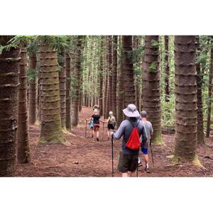 Kauai, Hawaii, USA: Private Hike to Sleeping Giant with Waterfall Option