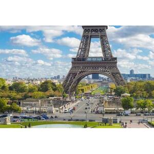 Paris, France: Guided Tour Outside the Eiffel Tower and Summit Ticket [GG_t29942]