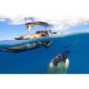 Maui, Hawaii, USA: 2.5-Hour Eco Raft Turtle Snorkeling Tour