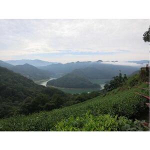 Chen Island Lake and Pinglin Tea Farm in Taipei, Taiwan [GG_t95403]