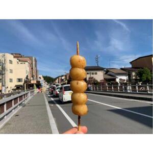 Takayama, Japan: Food and sake tour [GG_t397667]
