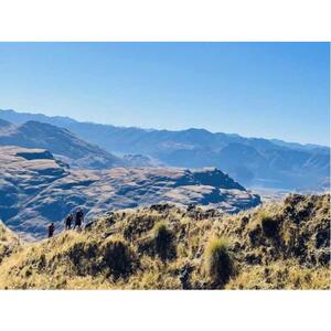 WANAKA: HELICOPTER AND NATURE WALK EXPERIENCE