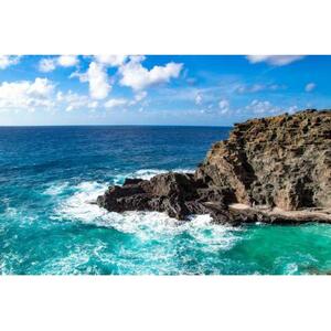 미국 하와이 오아후 호놀룰루: 오아후 섬 관광 및 물린 섬 투어