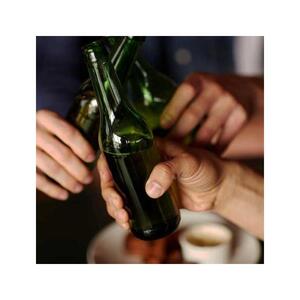 부다페스트: 맥주와 와인이 있는 사슴 파티 보트