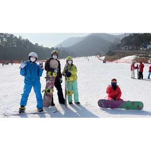 한국 용평: 스키 풀데이 투어 또는 서울 출발 셔틀 [GG_t393446]