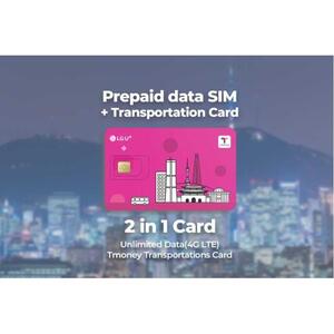 한국 인천공항 : 여행자 심카드 &amp; 티머니 교통카드 [GG_t389135]