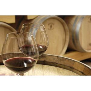엑상프로방스 출발: 세잔 시골 와인 투어