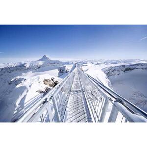 몽트뢰: 빙하 3000 체험
