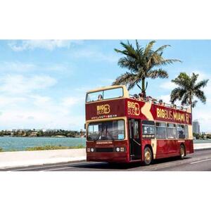 마이애미: 에버글레이즈 및 보트 옵션이 포함된 자유로운 승하차가 가능한 버스 투어