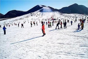 天津 盘山滑雪场 [LM_255429]