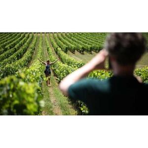 보르도 출발: 메독 지역의 오후 와인 시음