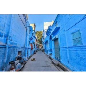 印度Zodpur:蓝色城市传统步行旅行 [GG_t259637]